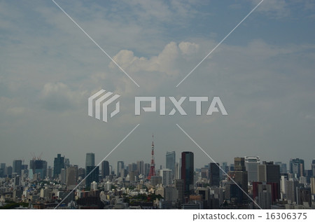 港區城市風光 16306375