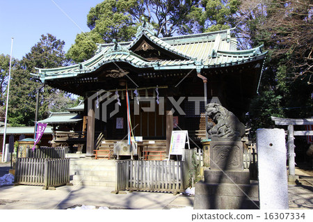 代代木八幡宮 代代木八幡宮 16307334