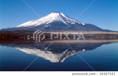 Fuji and Yamanakako 16307341