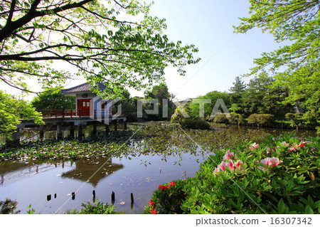 Benten Pond of Oruyama 16307342