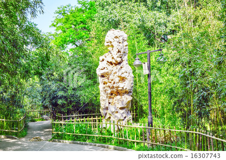 Typical Chinese garden,  bizarre rocks. Beijing. 16307743