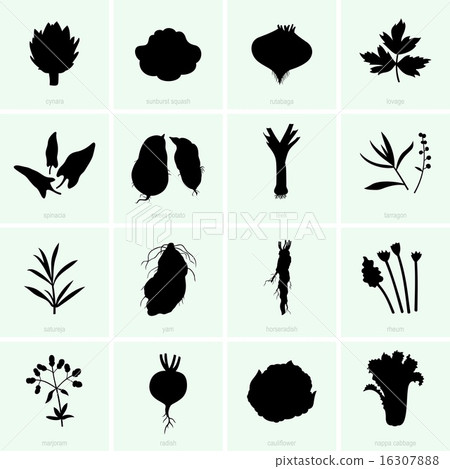 Vegetables (set 2) 16307888