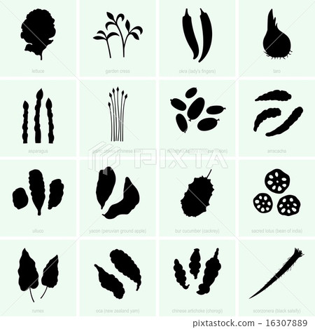 Vegetables (set 4) 16307889