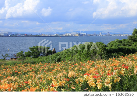 大阪Mai-zu·Yurien 大阪Mai-zu·Yurien 16308550