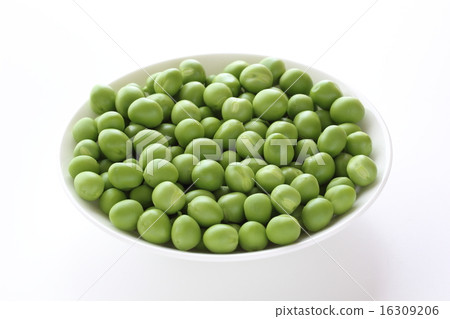 綠豆豆 綠豆豆 16309206