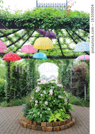 English garden of the rainy season English garden of the rainy season 16309804