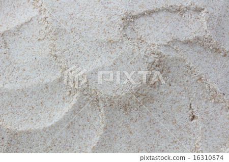 Whole grain flour 16310874