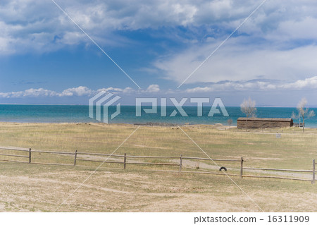 青海湖,青海,中國 青海湖,青海,中國 16311909