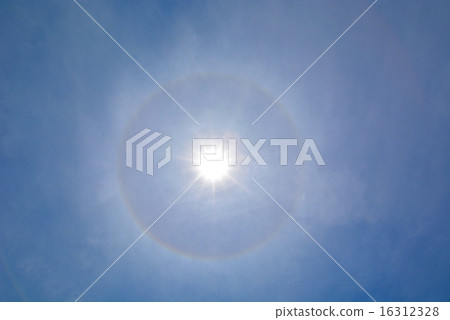 哈羅(3) 哈羅(3) 16312328