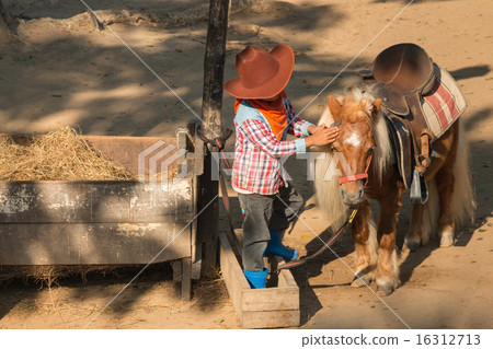 Little cowboy is taking care his little horse. Little cowboy is taking care his little horse. 16312713