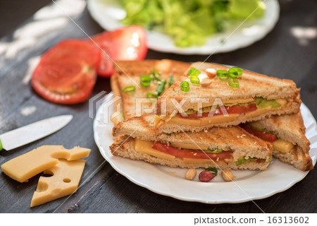 Cheese sandwich 16313602