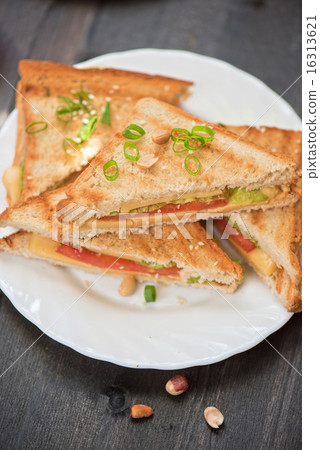 Cheese sandwich 16313621