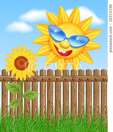 Sun peeks out from a fence and looks at sunflowers 16314196