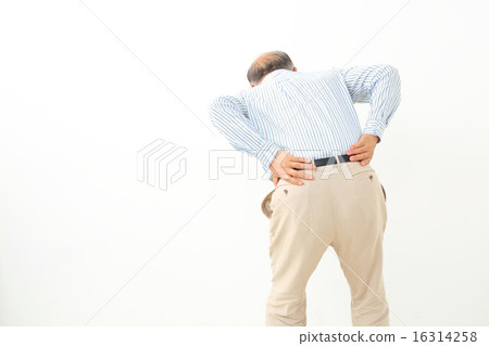 腰痛的老人 16314258