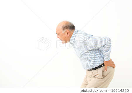 腰痛的老人 16314260