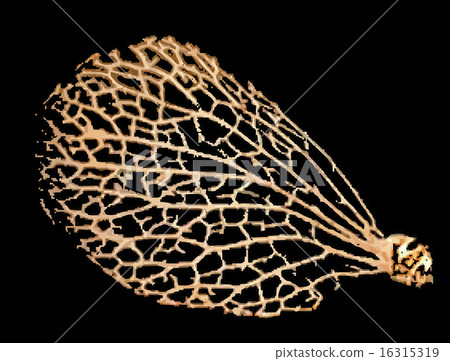 Abstract pattern with cobwebs bushy leaf 16315319