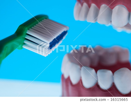 Anatomy of the tooth, bright colorful tone concept 16315665