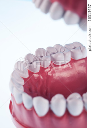 Anatomy of the tooth, bright colorful tone concept 16315667