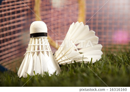 Group of sports equipment, natural colorful tone 16316160