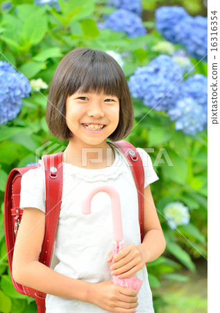 Hydrangea and primary school girls (rainy season) 16316354