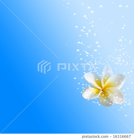 Plumeria underwater healing aroma flower water 16316667