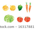 Vegetables 16317881