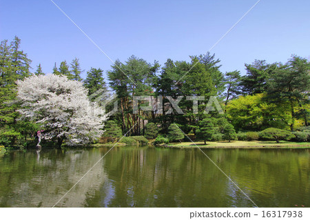 Cherry blossoms at Jindai Botanical Garden 16317938