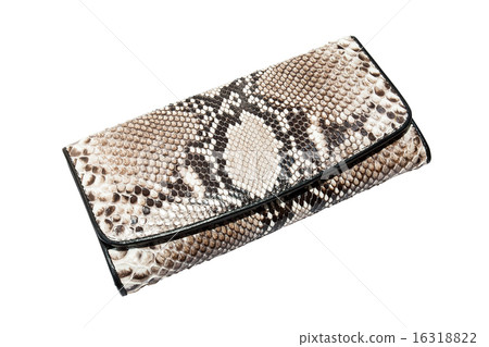 snake skin leather bag 16318822