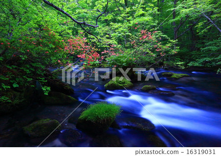 青森縣Oirase Stream Tribulation流 16319031