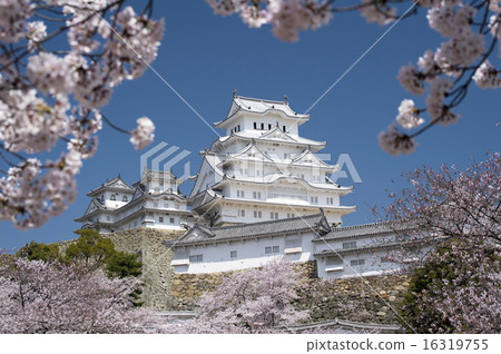 Himeji Castle and cherry tree, after renovation -4 Himeji Castle and cherry tree, after renovation -4 16319755