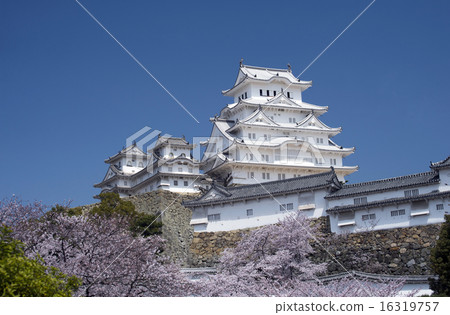姬路城和櫻花樹,經過翻新 - 6 姬路城和櫻花樹,經過翻新 - 6 16319757