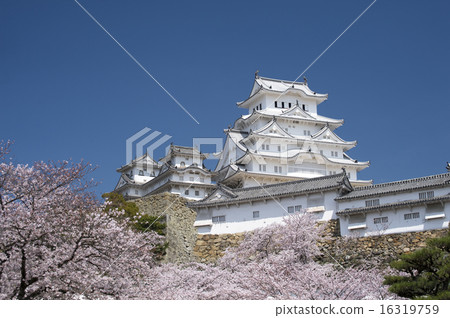 Himeji Castle and Sakura, after renovation - 8 16319759