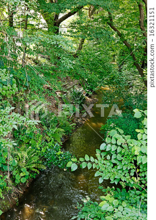 多摩川Kamimizu 多摩川Kamimizu 16321151