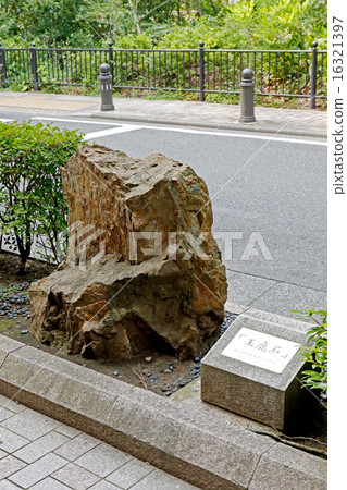 Jade stone 16321397