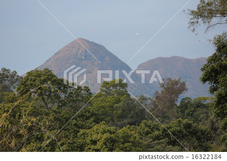 Mountain valley forest tree nature Mountain valley forest tree nature 16322184