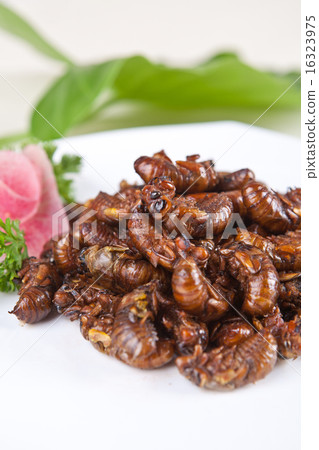 fried cicada 16323975