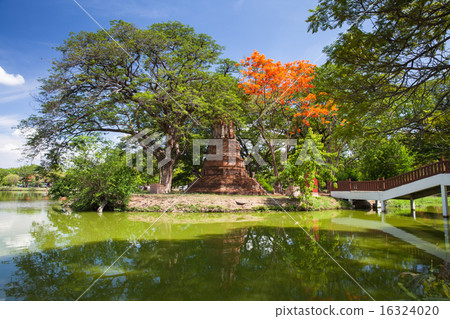 Ayutthaya historical park, Thailand 16324020