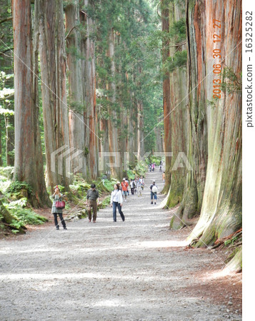 Suginami Kinokuni Shrine 16325282