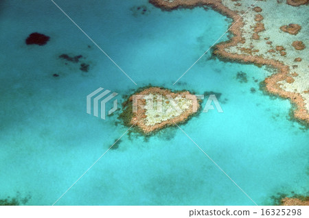 Hartleaf, Great Barrier Reef, Australia-5 16325298