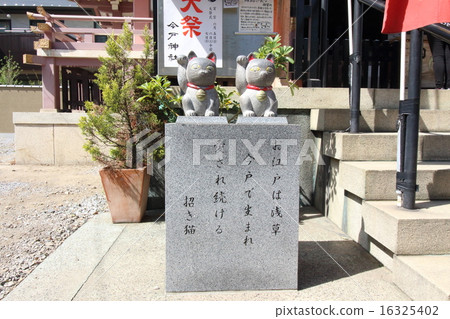 東京,在伊莫多靖國神社結婚的幸運貓 東京,在伊莫多靖國神社結婚的幸運貓 16325402