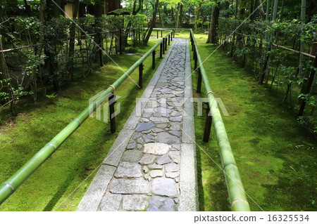 Takatoin in early summer Kyoto 16325534