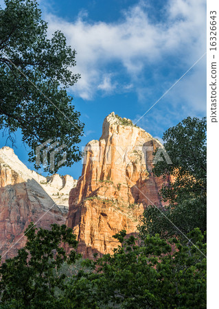 Rock Tower Zion 16326643