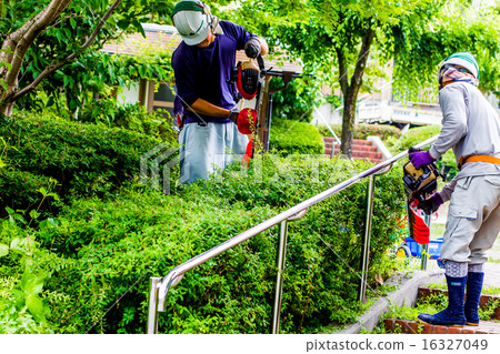 Gardener 16327049