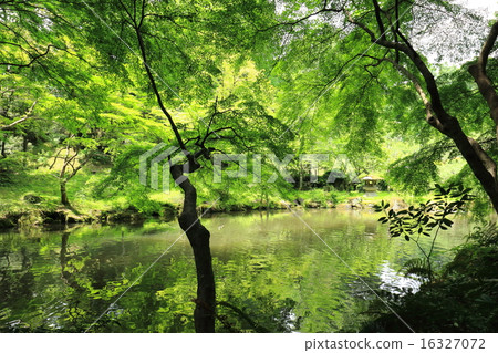 Light and shadow 16327072