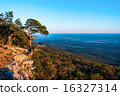The Cedar  Tree Arkansas 16327314