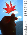 Maple  16327412