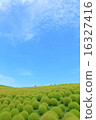Hawkigi and blue sky 16327416