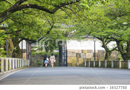 Tananmon gate at Edo Castle Kitanomaru Park (Chiyoda Ward, Tokyo) 16327788