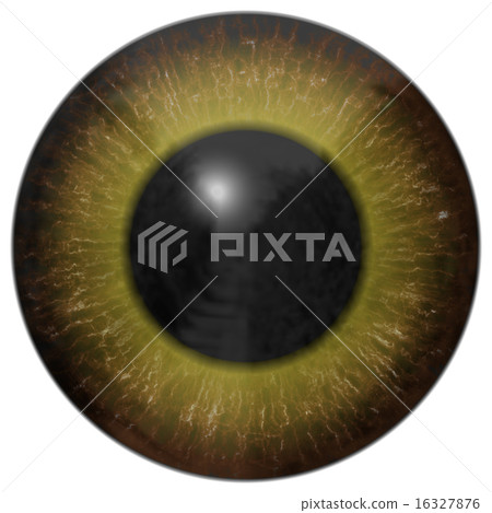 Eye iris generated hires texture 16327876