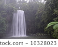 Milamira Falls 16328023